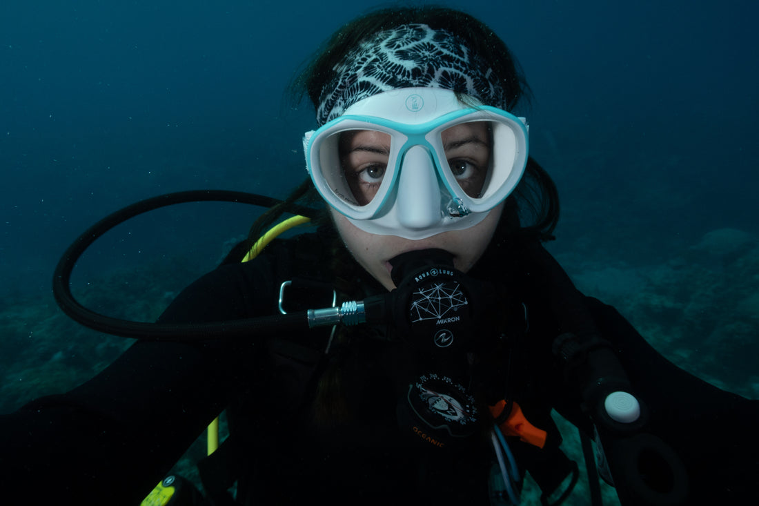Dive Highlights