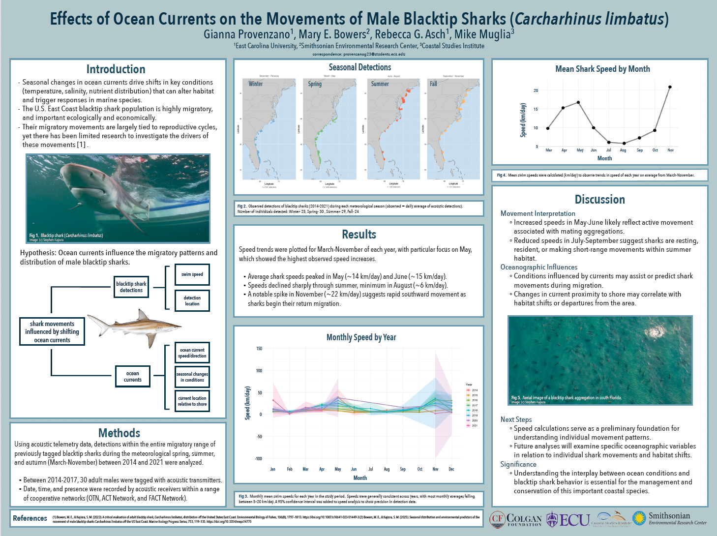 Blacktip Shark Research