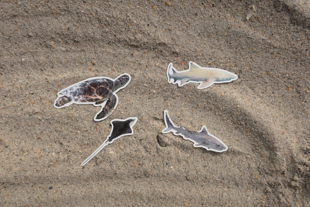 Photo Stickers: Last Chance Sale