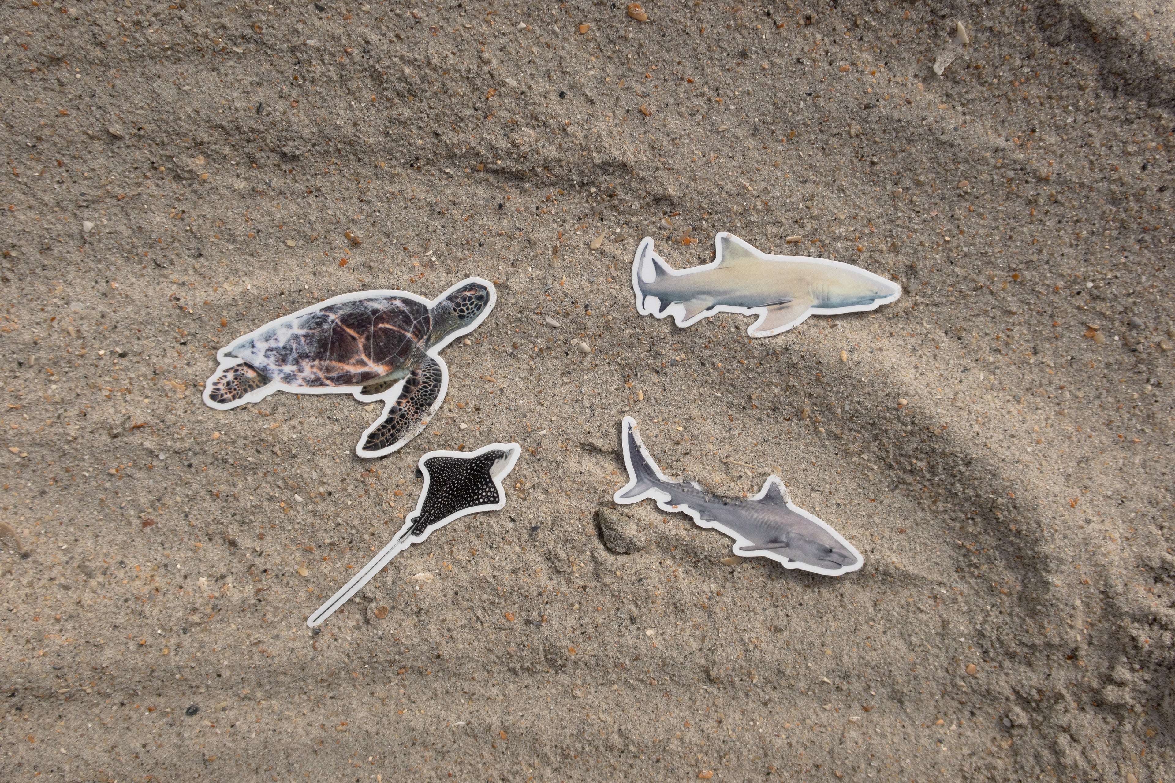Photo Stickers: Last Chance Sale