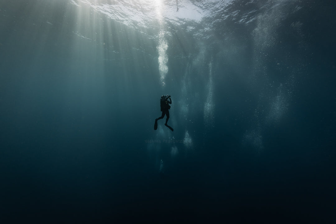 Dive