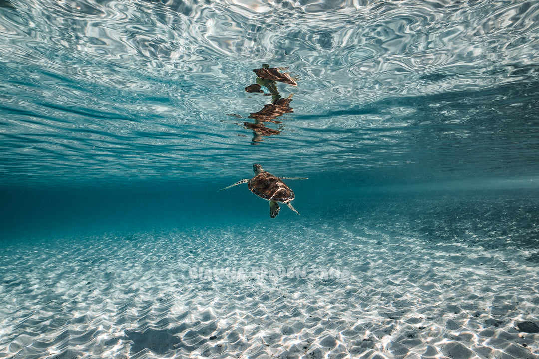 Reflections